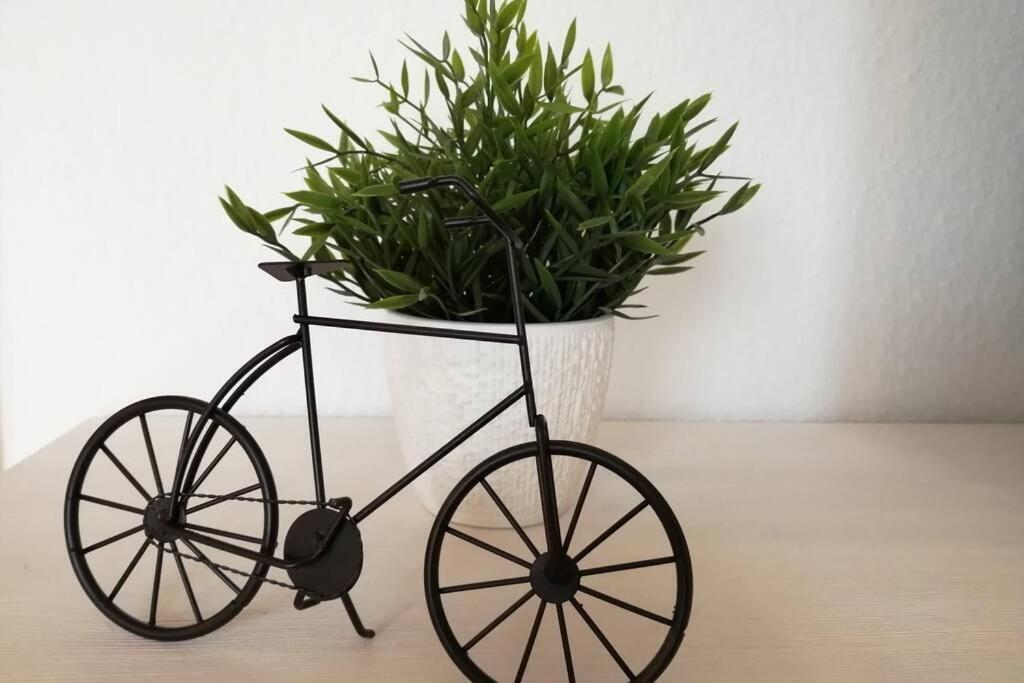 Ttp Apartment 6 ฟรีดริชส์ฮาเฟน ภายนอก รูปภาพ